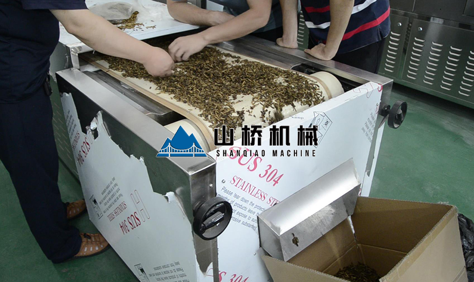 黃粉蟲(chóng)微波殺菌機(jī)(圖1) 黃粉蟲(chóng)微波殺菌機(jī)(圖1)
