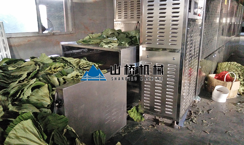 荷葉微波烘干機(圖1) 荷葉微波烘干機(圖1)