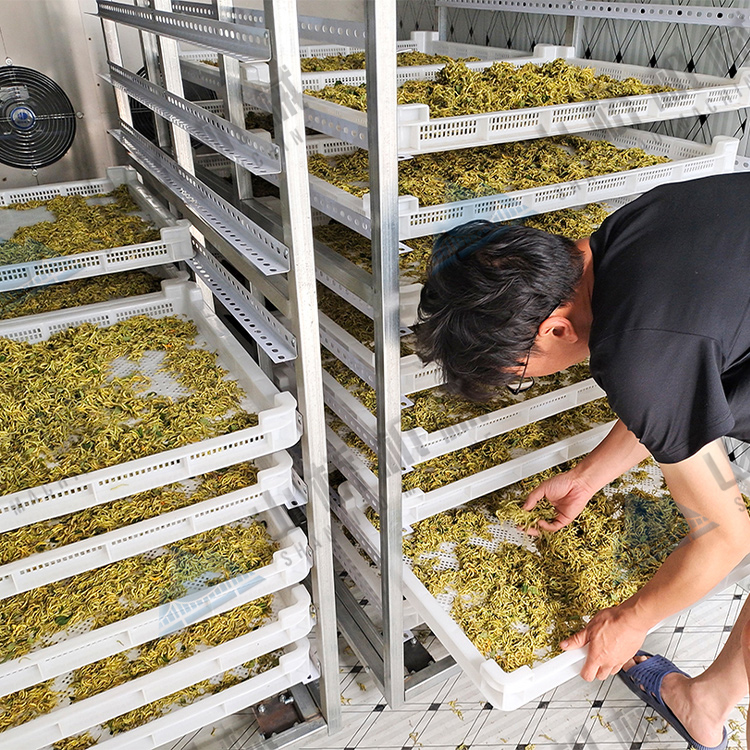 金銀花烘干機(jī)使用經(jīng)驗談(圖1) 金銀花烘干機(jī)使用經(jīng)驗談(圖1)
