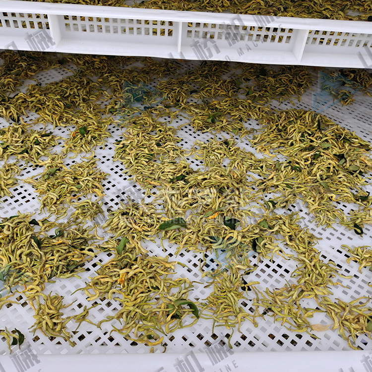 金銀花烘干機(jī)使用經(jīng)驗談(圖2) 金銀花烘干機(jī)使用經(jīng)驗談(圖2)